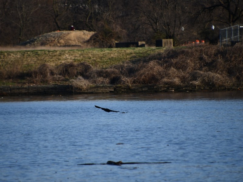 The Untested Waters of Black Lakeside Communities